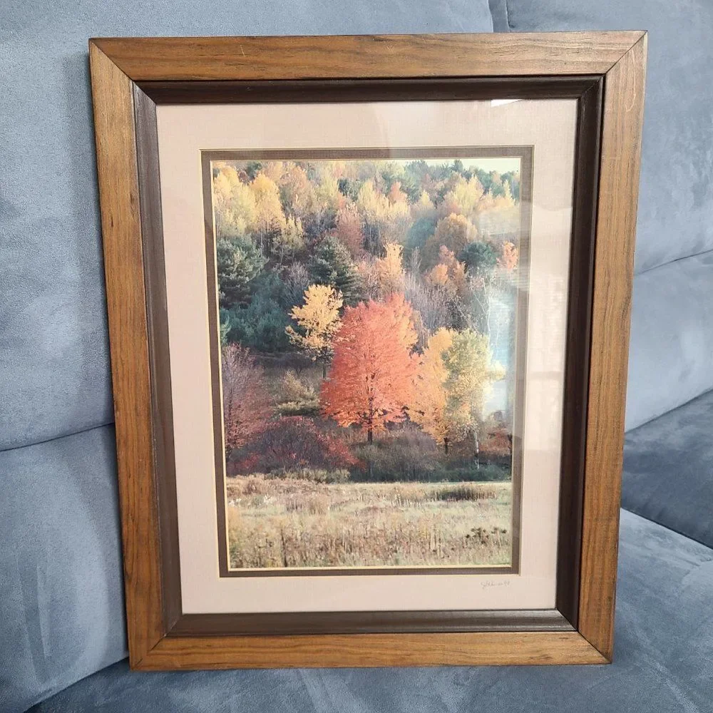 Vintage Autumn Fall Photography Wall Hanging Framed and Matted J Palmer 1988